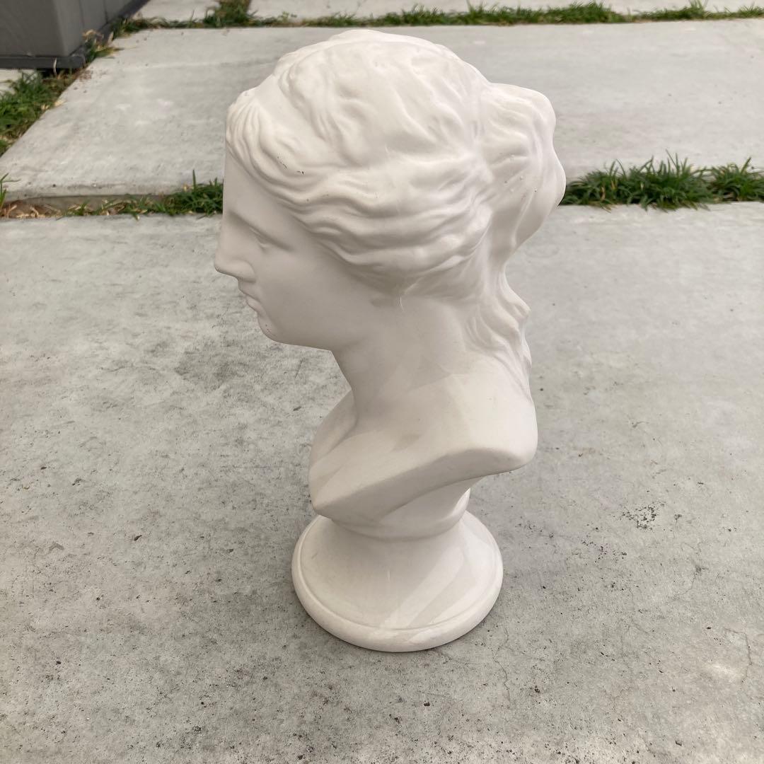 ミロのヴィーナス 胸像 石膏像 顔 美術 スケッチ インテリア 美大受験