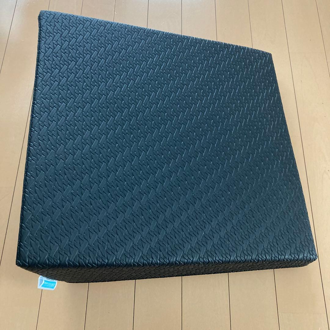 サンテプラス　フレックスクッション　トレーニング用 ブラッククッション