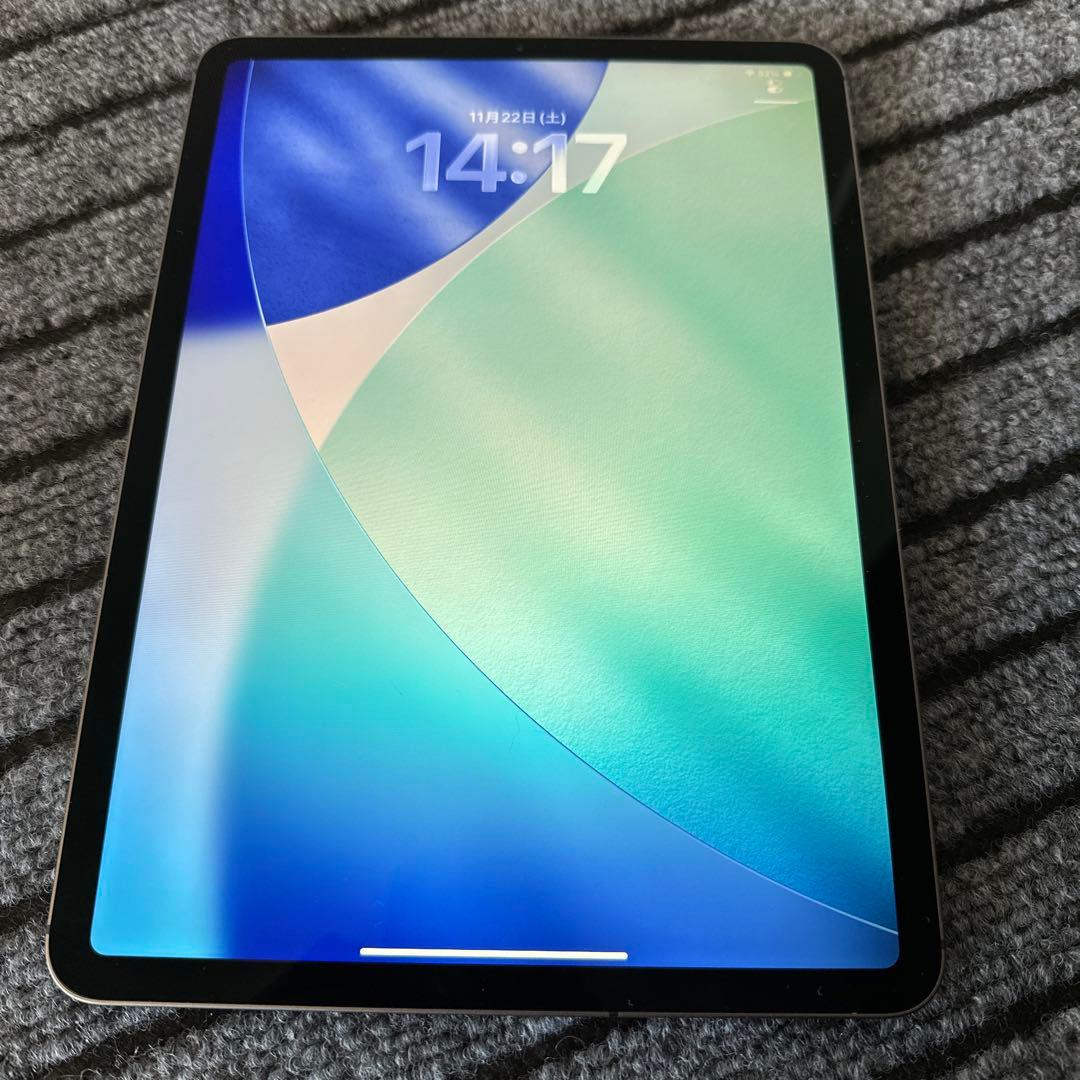 71【早い者勝ち】 ⭐︎iPad Pro 11インチ 2世代 256GB グレイ