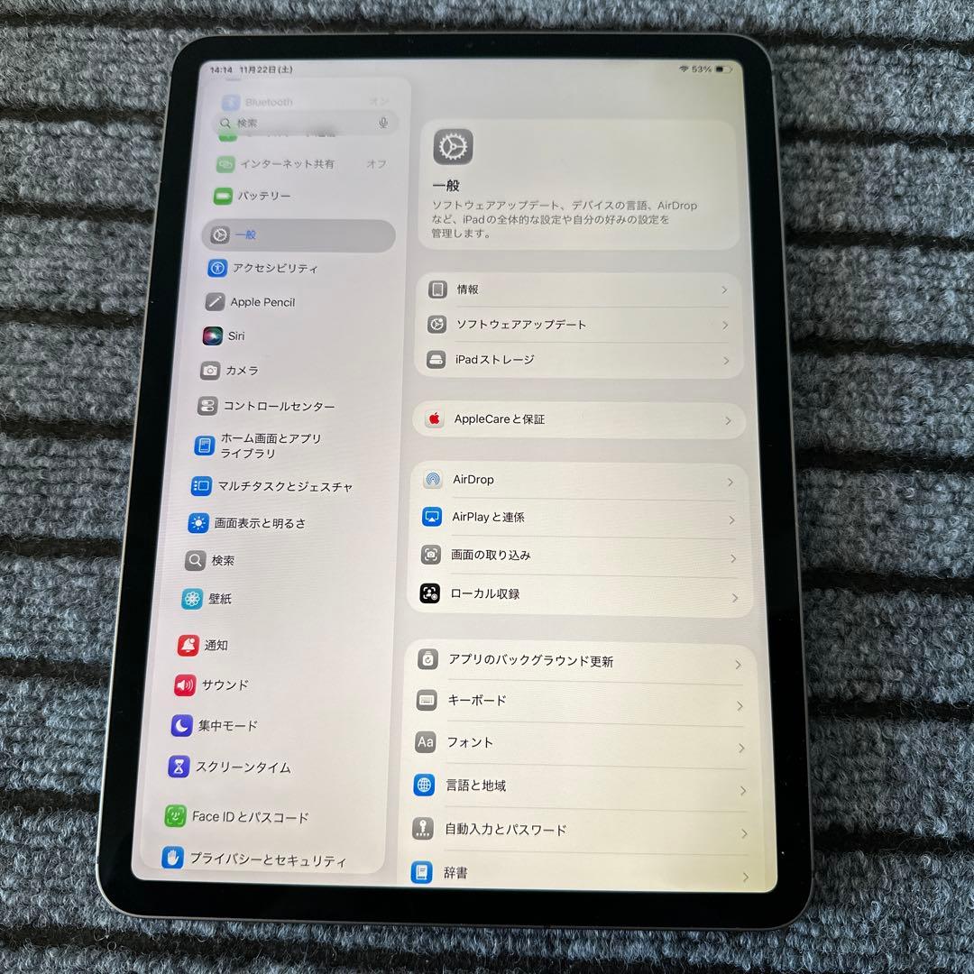 71【早い者勝ち】 ⭐︎iPad Pro 11インチ 2世代 256GB グレイ