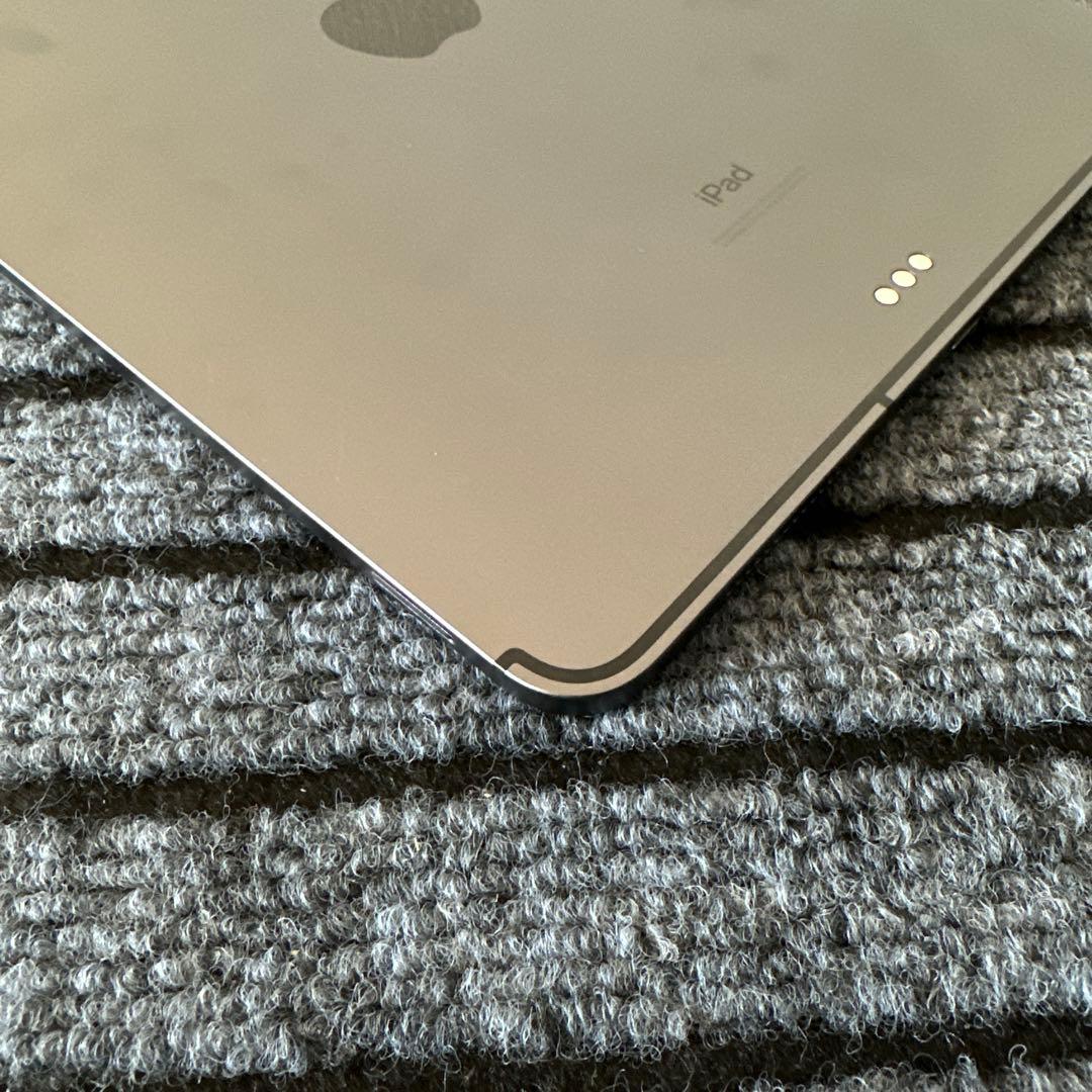 71【早い者勝ち】 ⭐︎iPad Pro 11インチ 2世代 256GB グレイ