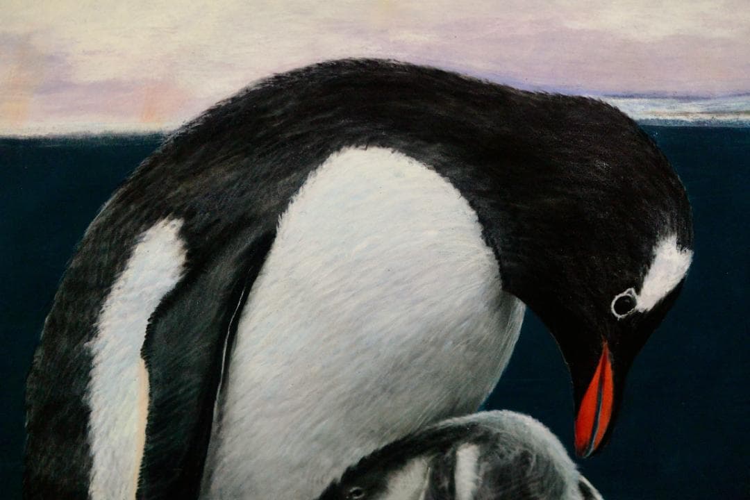 明太ヤキソバ様用　絵画