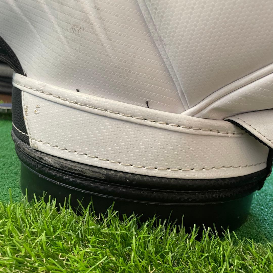 PINGツアーバック 10インチ