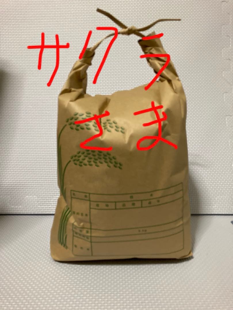 サクラ　ヒノヒカリ　京都府産