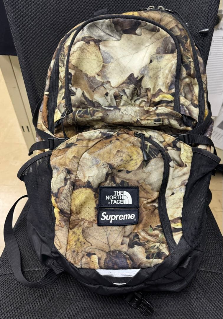 【Supreme×THE NORTH FACE 】リーフ柄バックパック