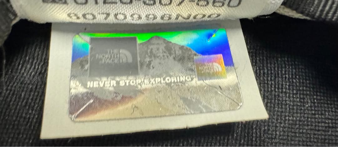 【Supreme×THE NORTH FACE 】リーフ柄バックパック