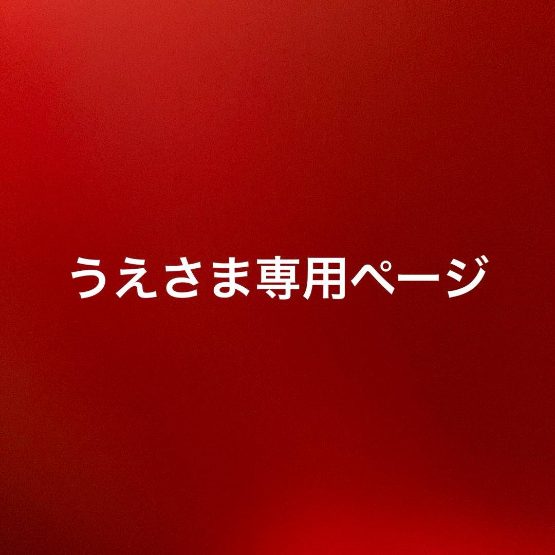 【美品】プラマイゼロ リフレクトヒーター 2（XHS-K311）2025年製