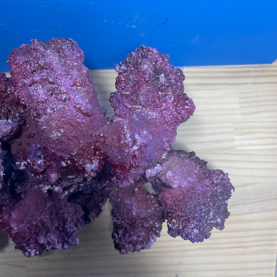 人工ライブロック　SHR06 アク抜き済み安心塗料使用