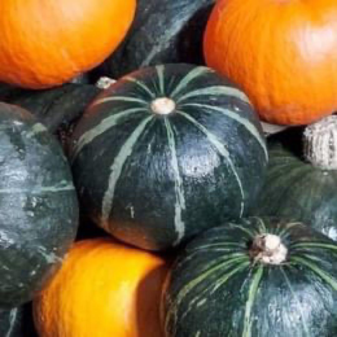 堀農園★野菜7品＆栽培期間中農薬不使用米5kgセット