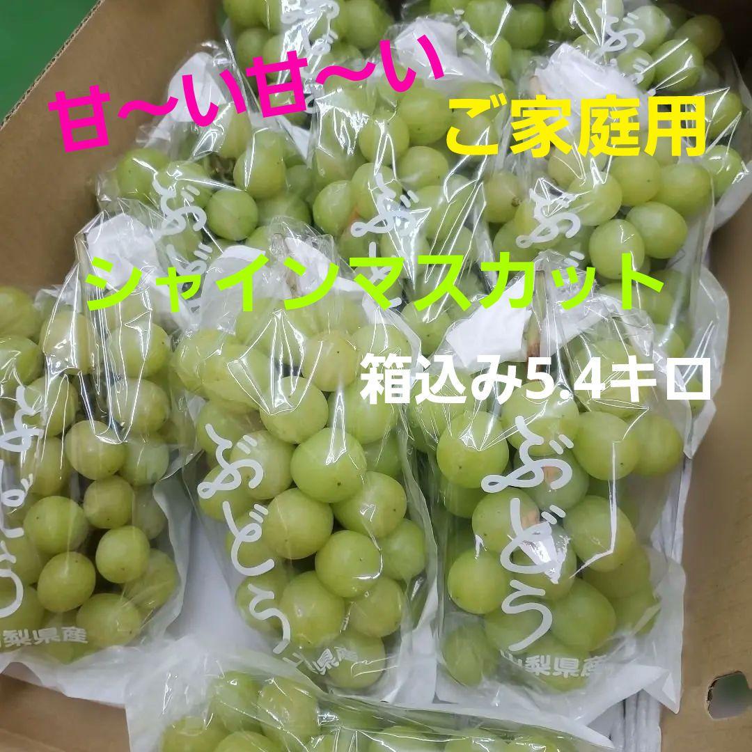 6️⃣ 山梨県産 シャインマスカット １０房入り 箱込み5.4キロ