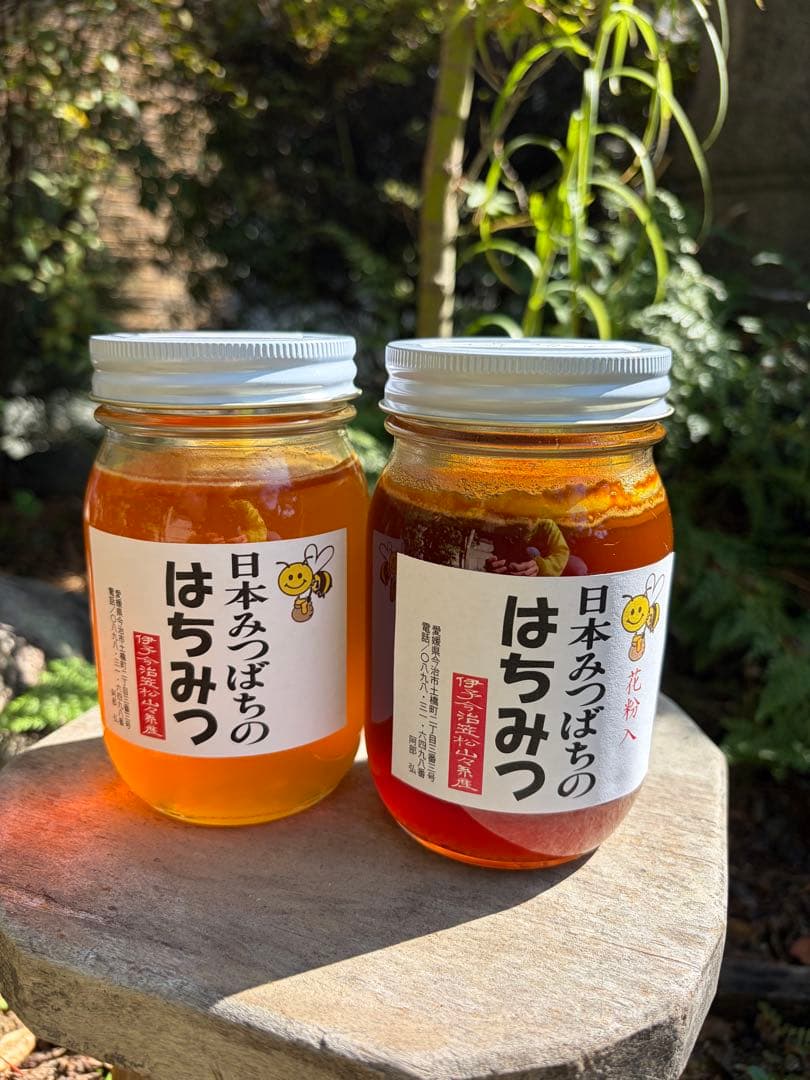 はちみつ　日本蜜蜂のハチミツ　奥山の奥と花粉入り蜂蜜