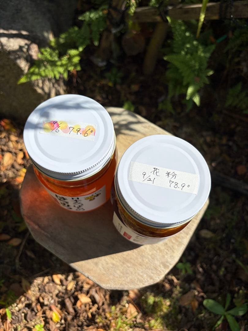 はちみつ　日本蜜蜂のハチミツ　奥山の奥と花粉入り蜂蜜