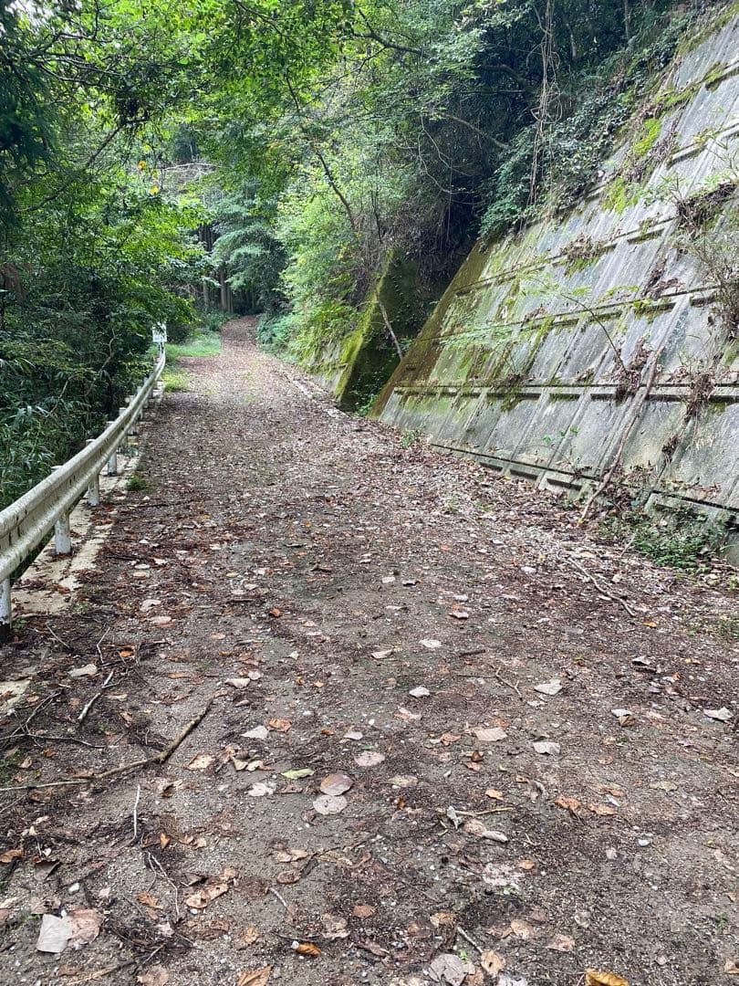はちみつ　日本蜜蜂のハチミツ　奥山の奥と花粉入り蜂蜜