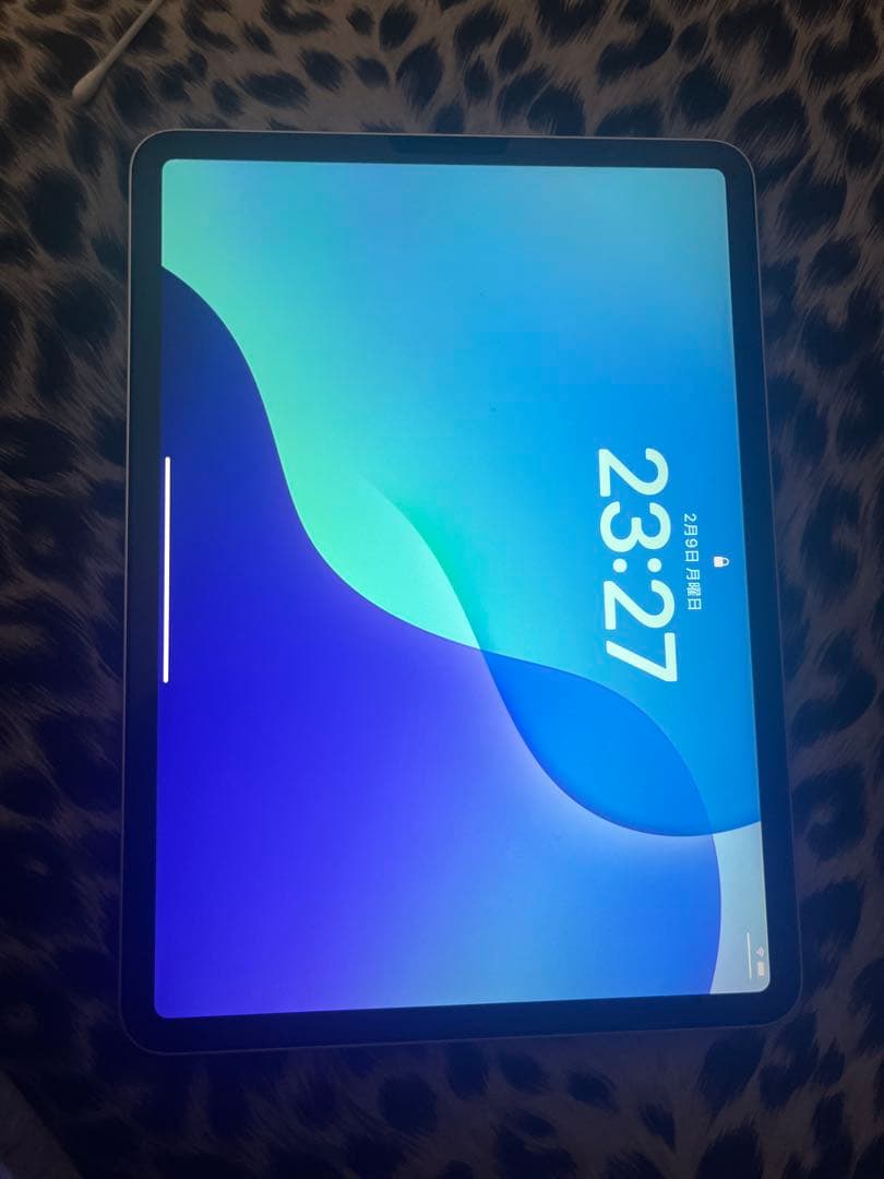 Apple iPad Pro 11インチ 4世代　256G