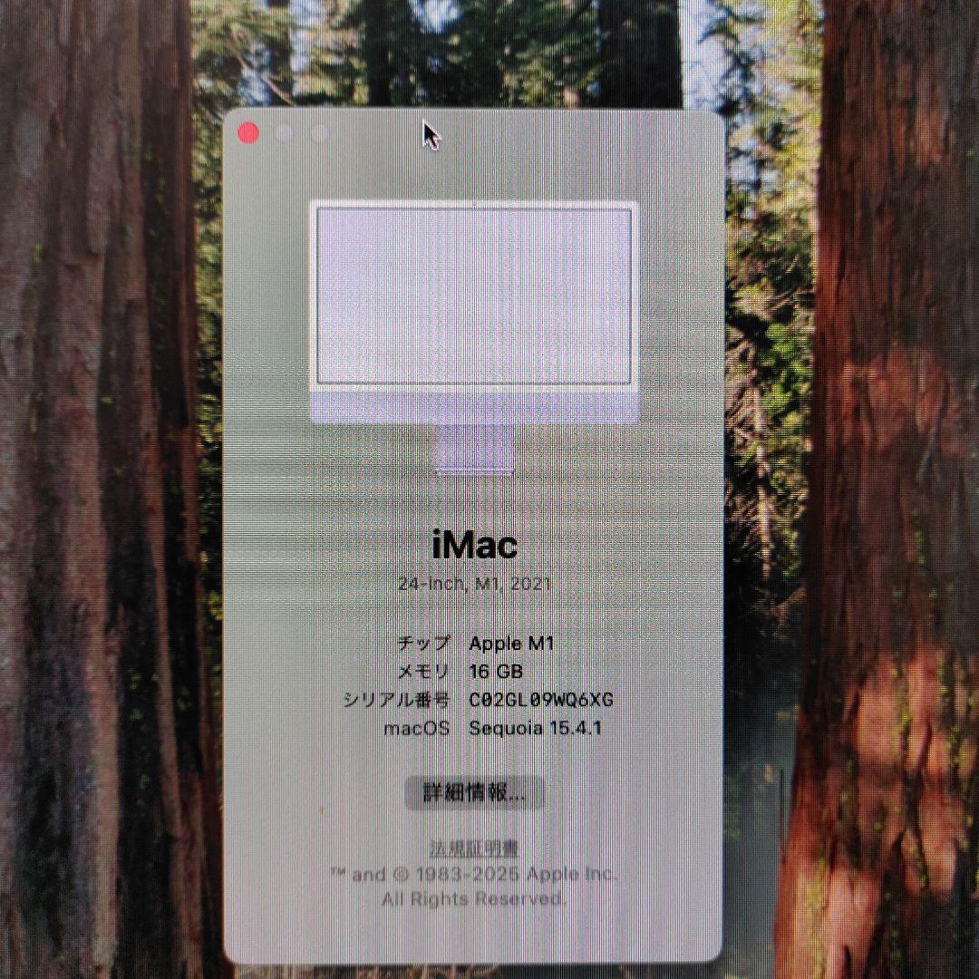 Macデスクトップ ZZ2126ZZ Apple iMac 2021M1/16GB/512GB