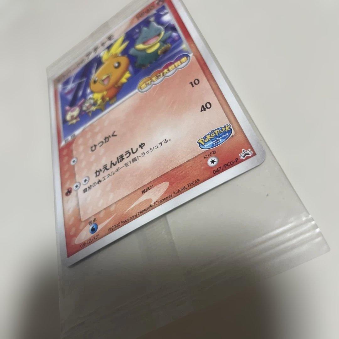 【匿名発送】未開封　ポケパークのアチャモ　ポケモンカード