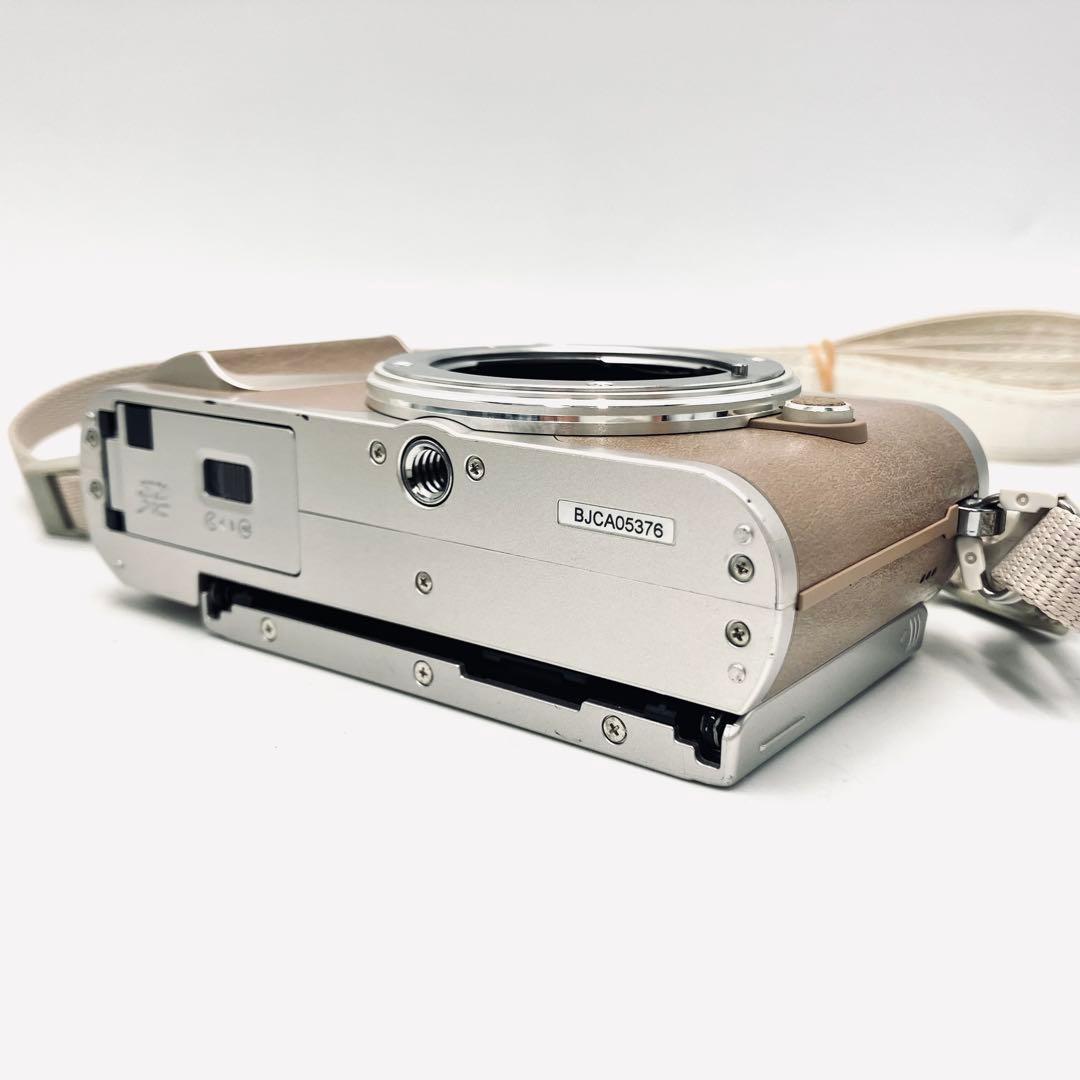 OLYMPUS E-PL10 ブラウン　望遠ダブルレンズキット