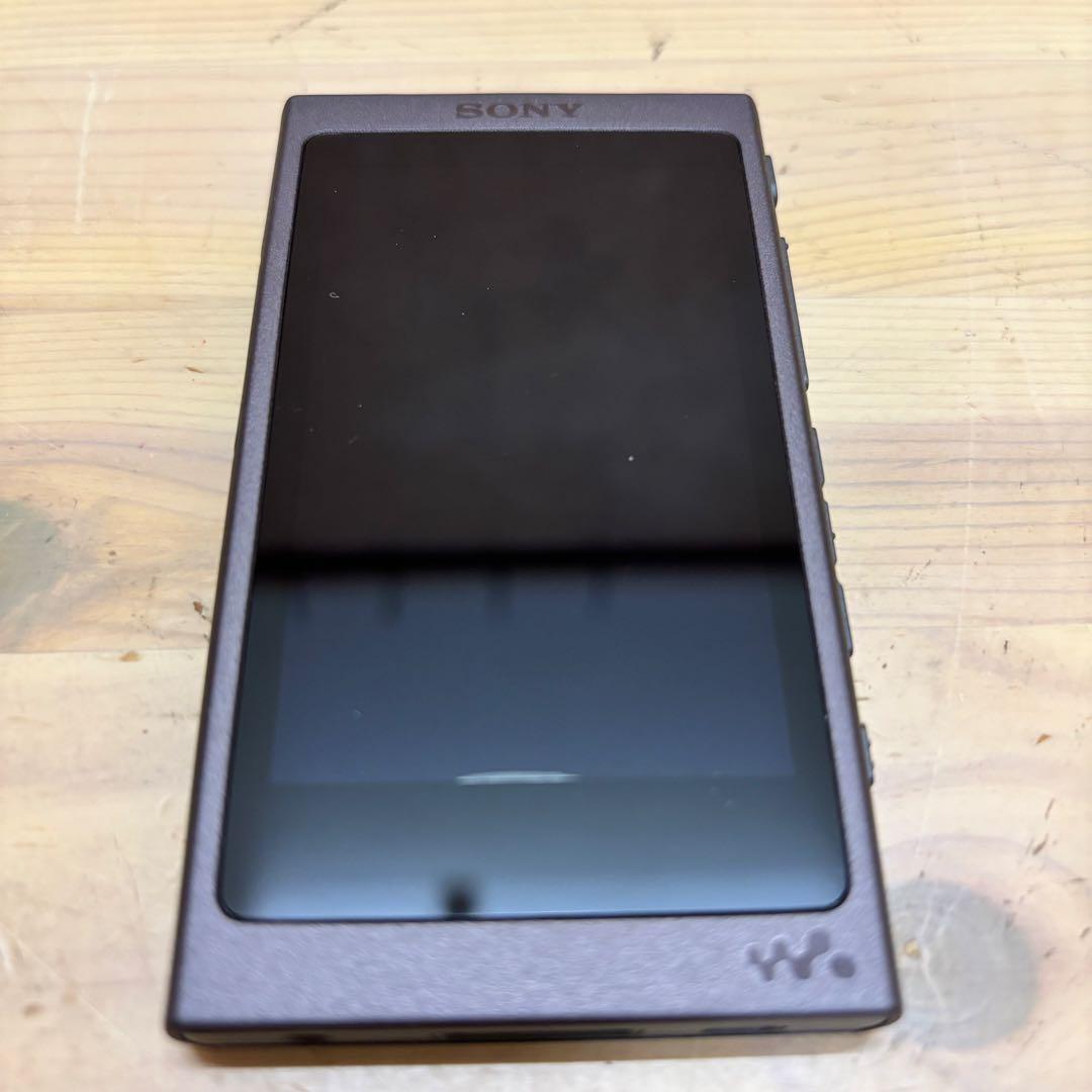 SONY ウォークマン Aシリーズ NW-A45 16G