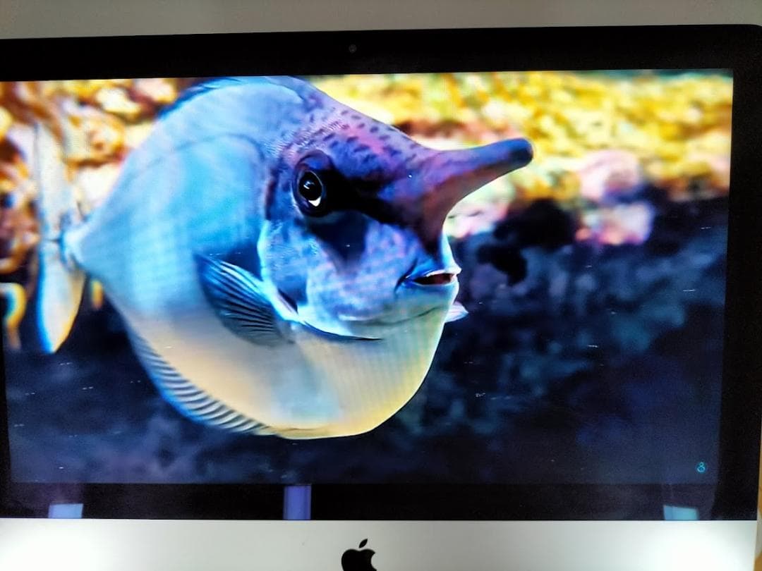 iMac 21.5 2015年　SSD