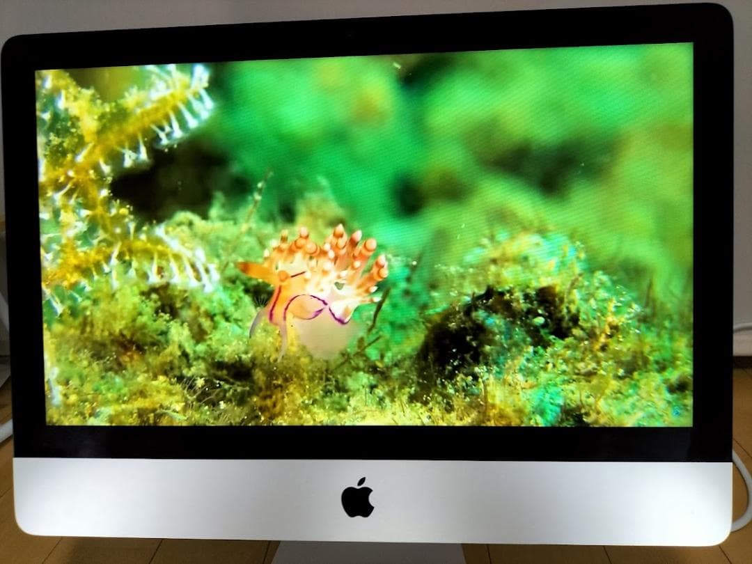 iMac 21.5 2015年　SSD