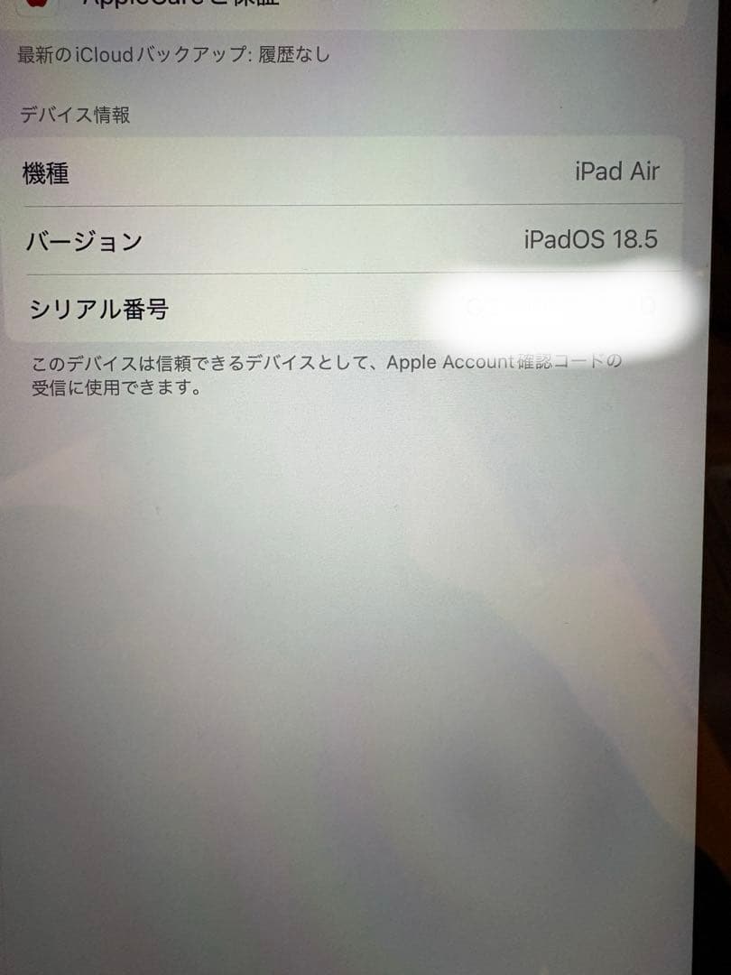 【超美品】保護ケース付きApple iPadAir 第4世代　ブルー本体