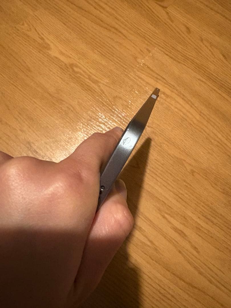 【超美品】保護ケース付きApple iPadAir 第4世代　ブルー本体