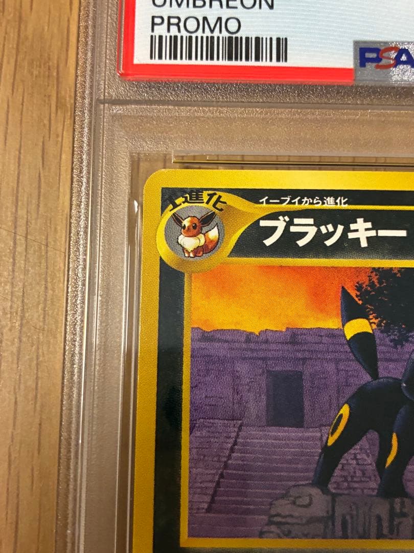 PSA8☆ブラッキー 旧裏 プレミアムファイル2 プロモ