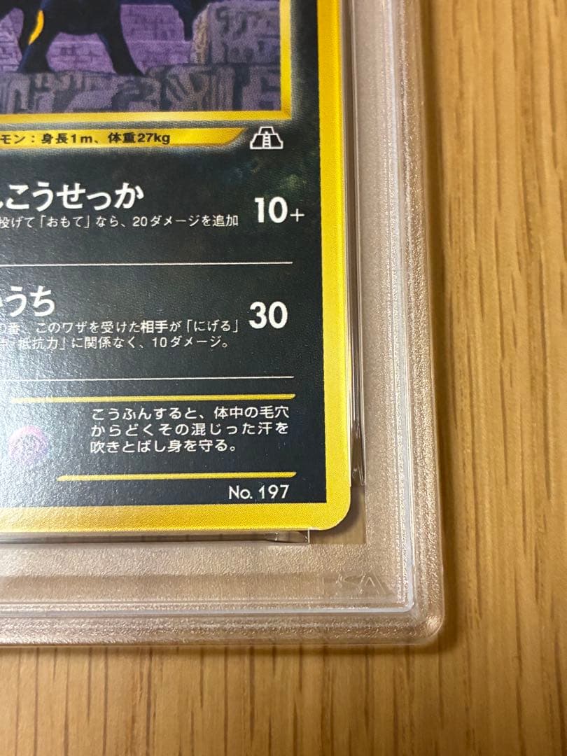 PSA8☆ブラッキー 旧裏 プレミアムファイル2 プロモ