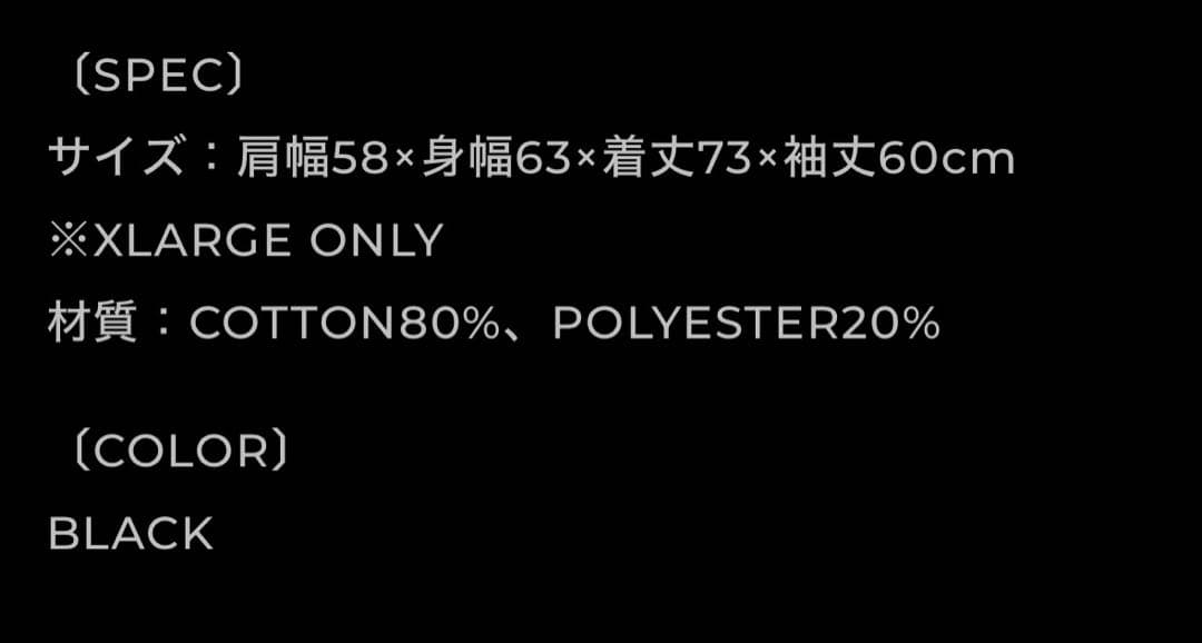※値下げ可io着用RAYDBACK TOKYO スウェット　　 ※XLオンリー