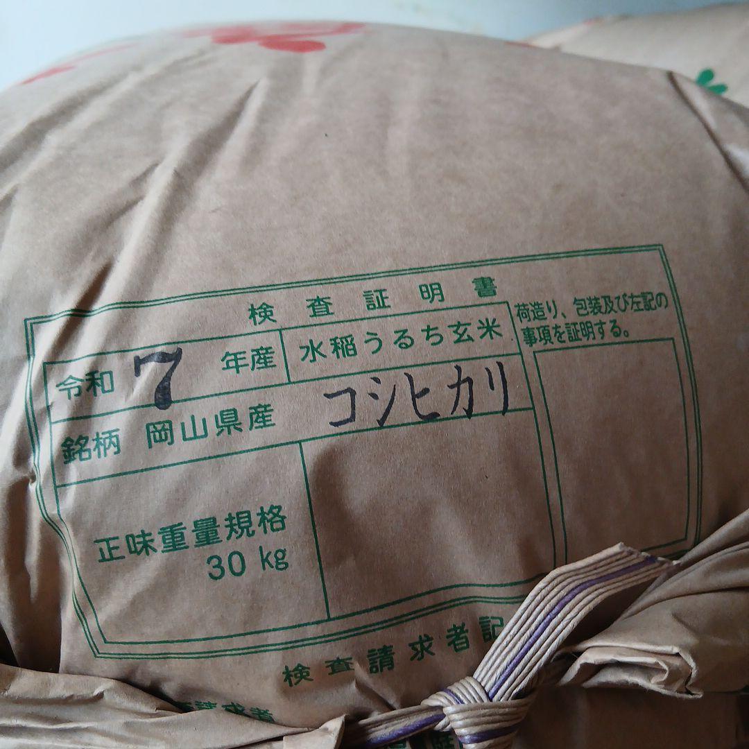 令和7年度岡山県真庭米コシヒカリ 玄米30 ㌔紙袋低農薬農家直送