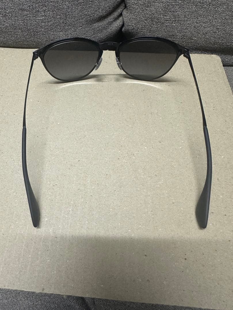 Ray-Ban エリカメタル偏光