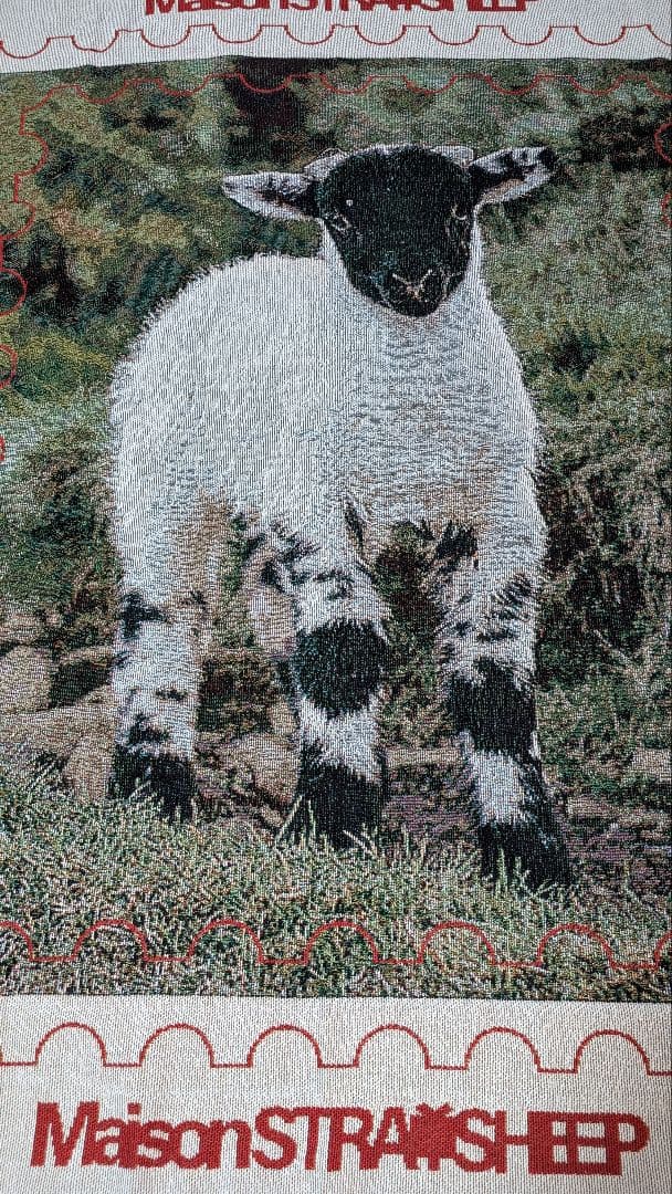 Maison STRAYSHEEP ラグ