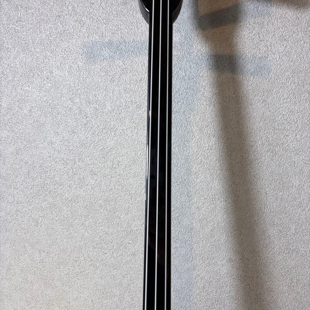 【極美品】沖縄三線　三線　人工皮　ケース付き　初心者　入門セット