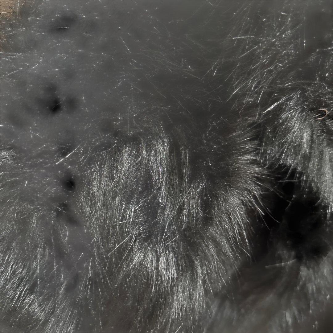 【新品未使用】ファージャケット【BENUA】