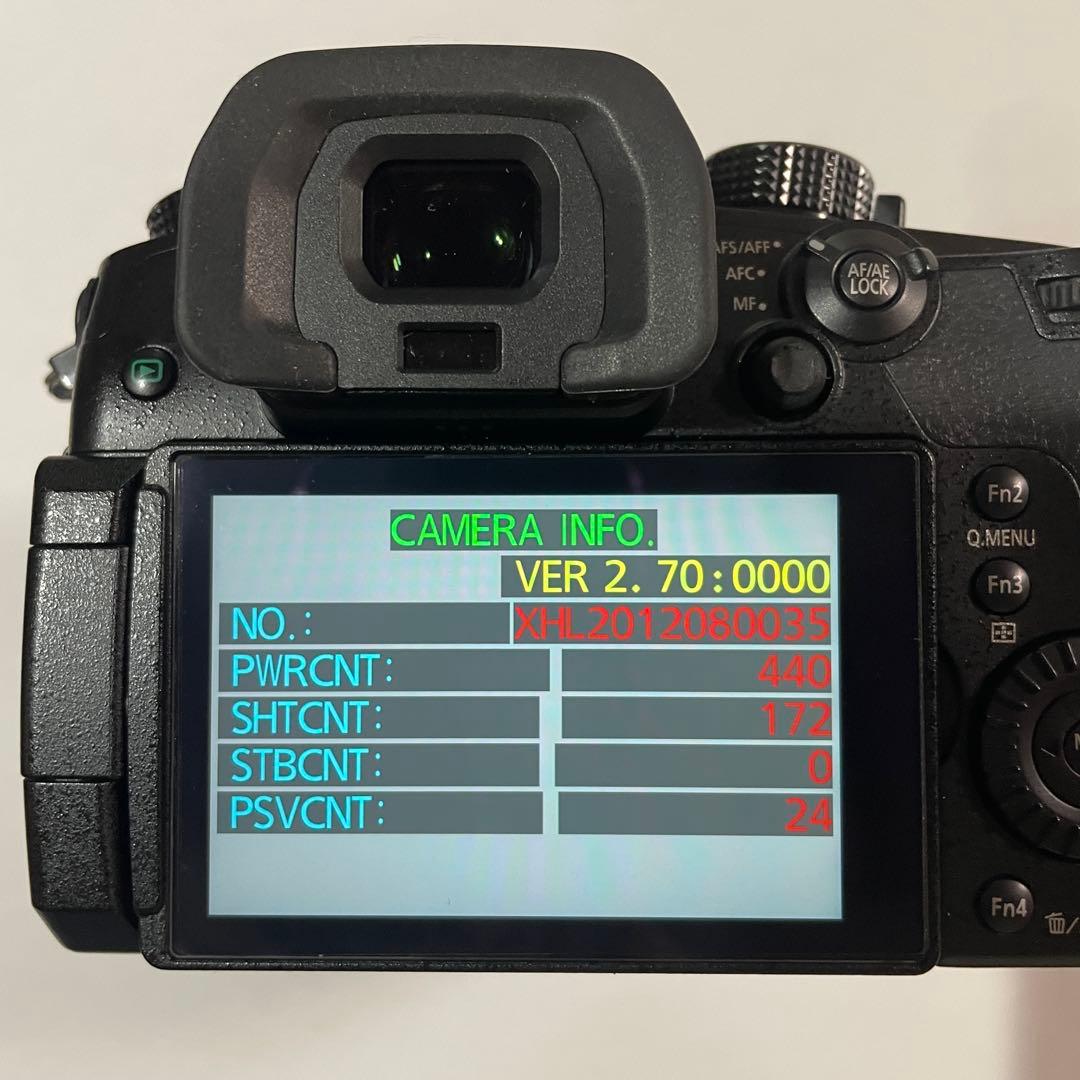 美品 ショット数172回 LUMIX GH5 バッテリー2個充電器