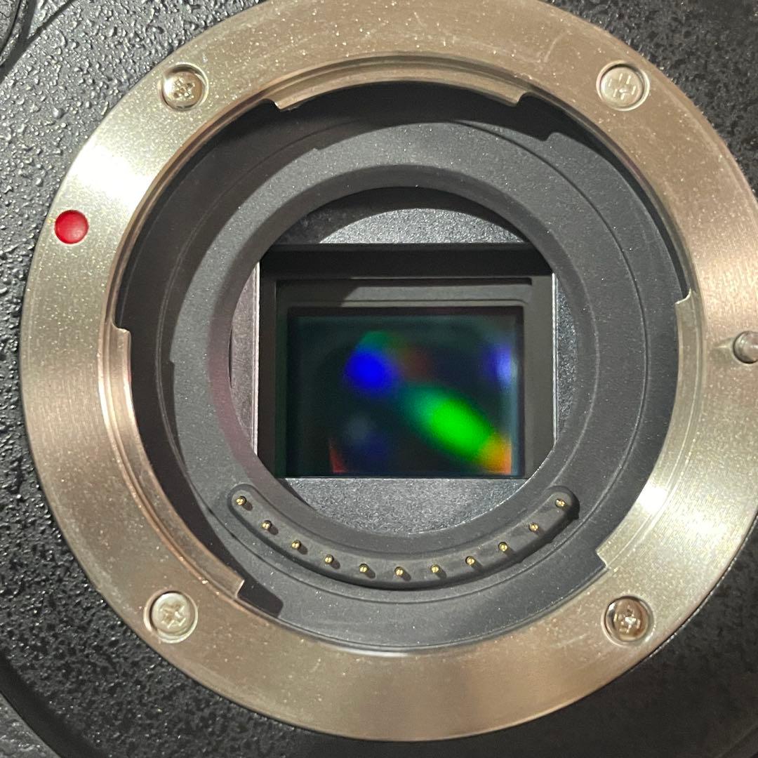 美品 ショット数172回 LUMIX GH5 バッテリー2個充電器