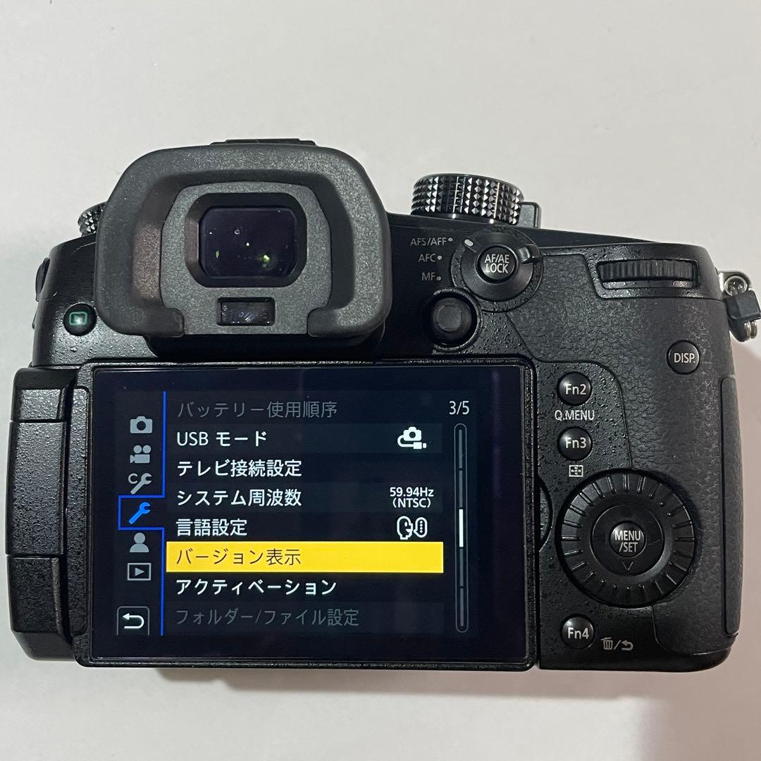 美品 ショット数172回 LUMIX GH5 バッテリー2個充電器