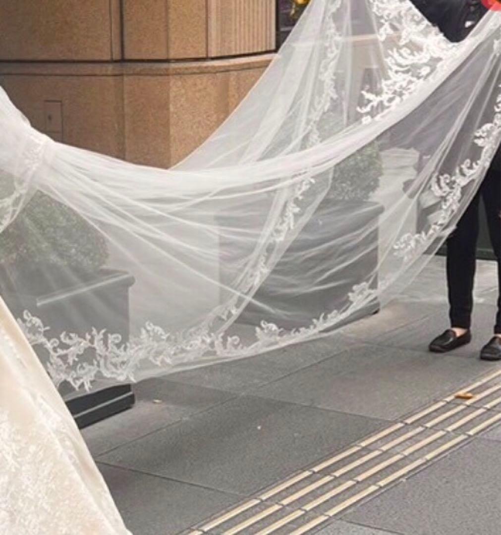インポートウェディングベールDemetrios 約3mロングトレーン　匿名送込