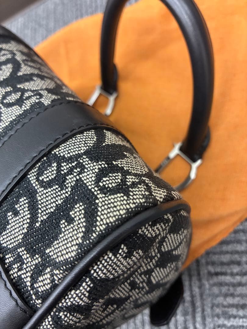 【極美品】DIORディオールトロッター