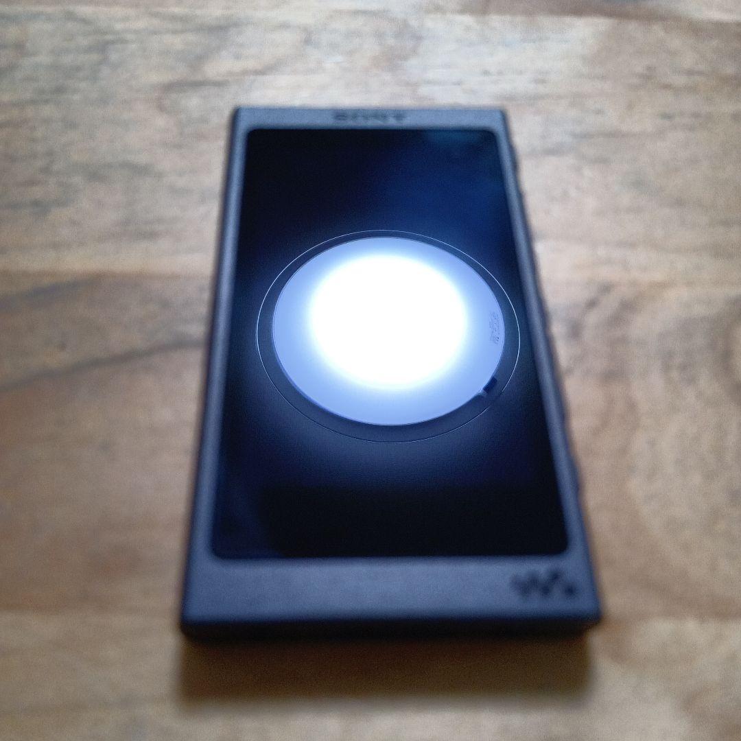 ☪*.様 SONYウォークマンNW-A45 16GB