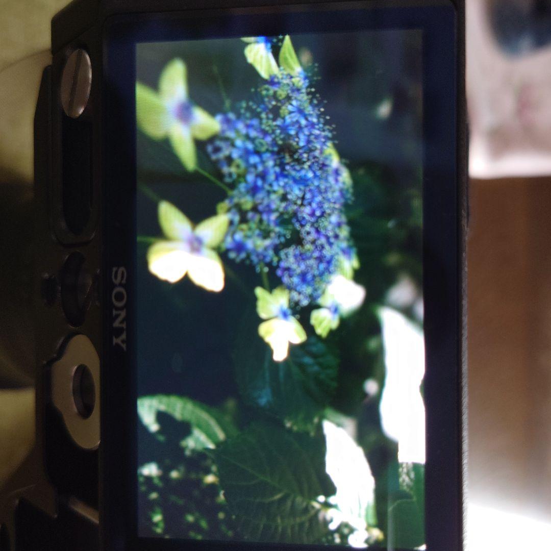 シグマ　16mm f1．4 DC DN