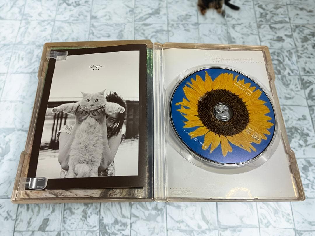 【レア】映画 東京日和 (1997年公開) DVD 中山美穂