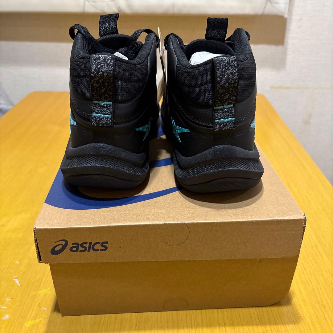 シューズ(男性用) asics NOVA SURGE3