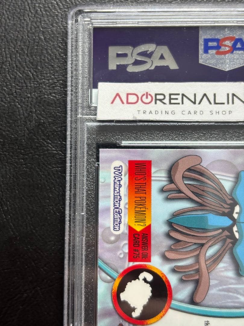 【PSA8】ドククラゲ 英語 topps chrome POKEMON TV