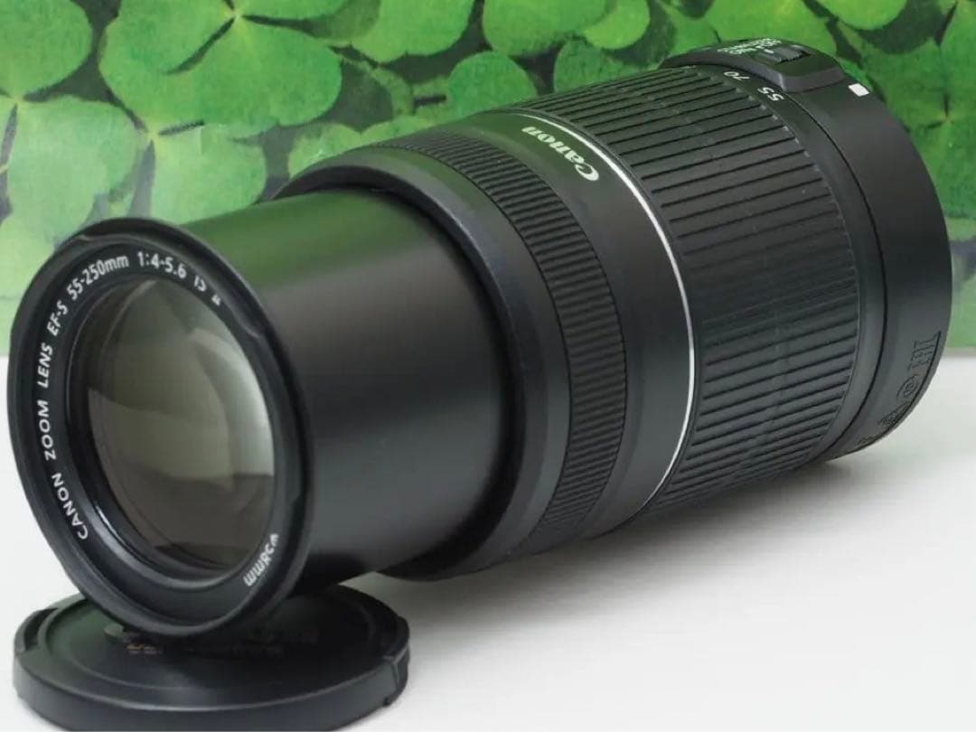 【美品】キャノンEF-S55-250mm ISⅡ手ブレ補正⭐️イベントで大活躍