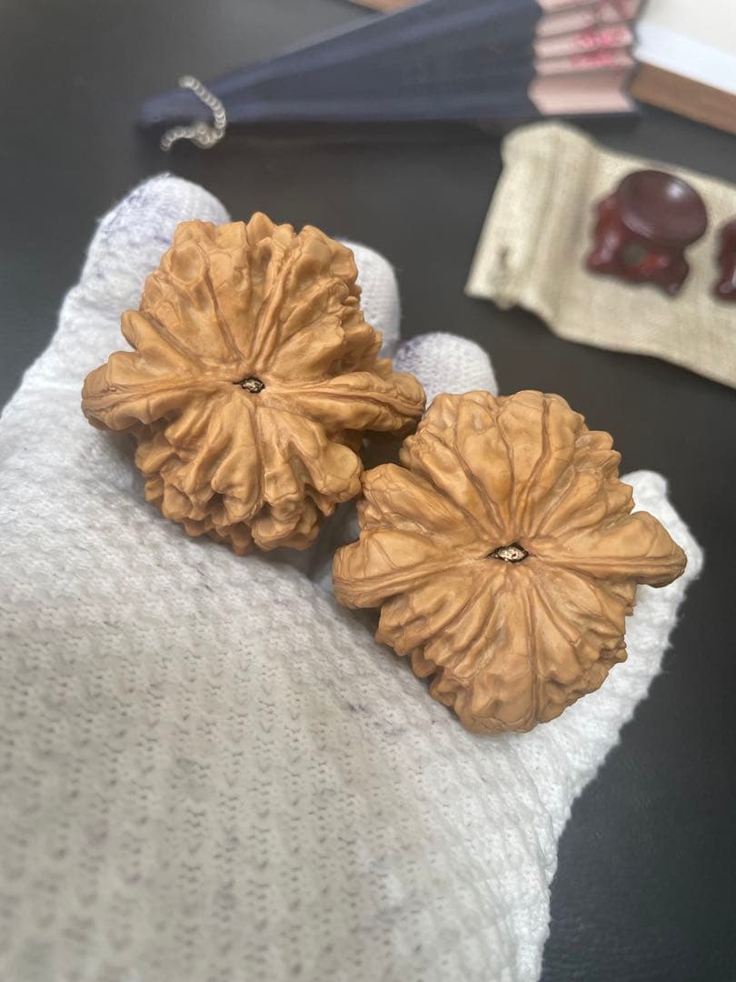 キャニオンページNo.232 と272 遊ぶクルミ　文玩王者 龙鼎 文玩袋