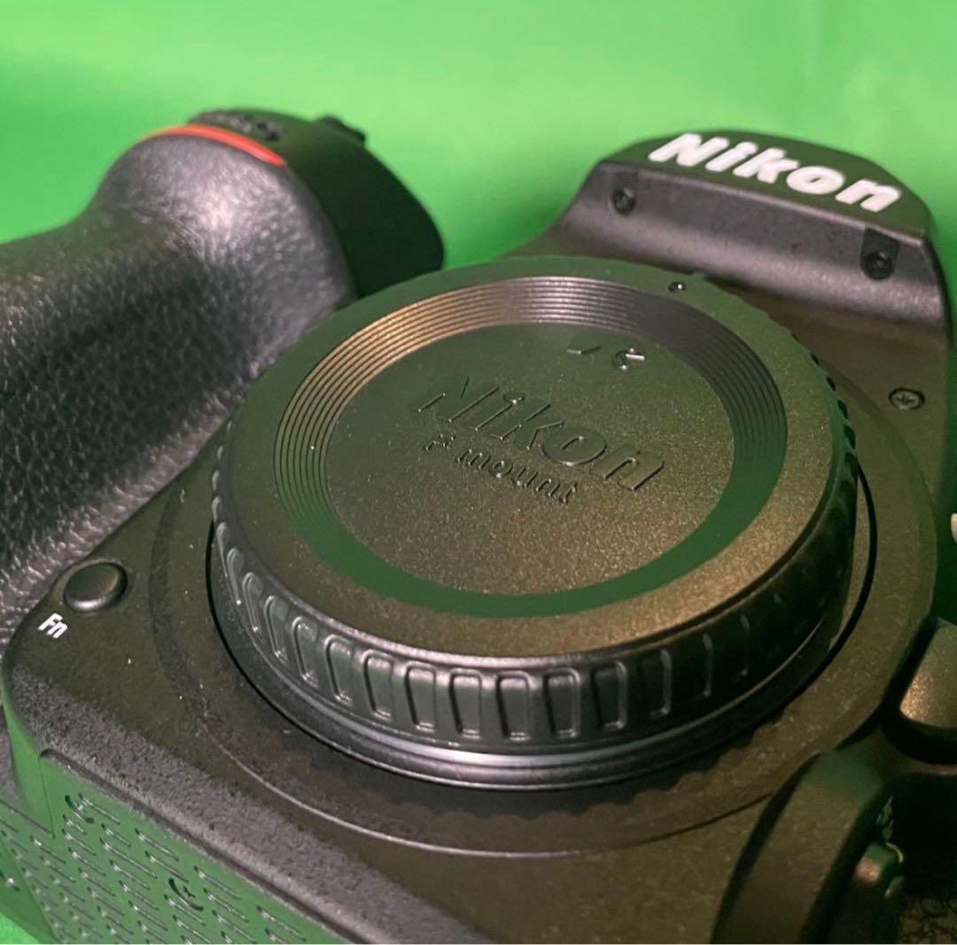 超美品 Nikon D780 ボディ ショット数4000枚程度/付属品完備