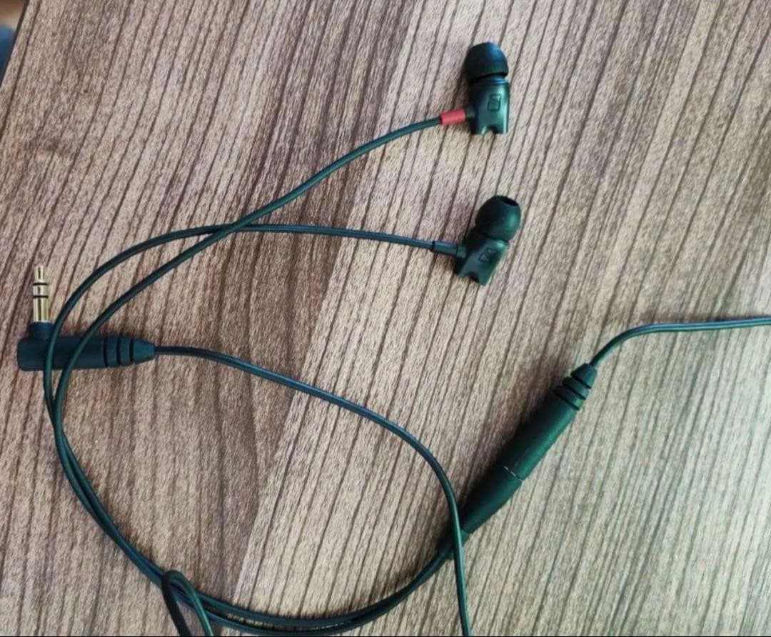 ゼンハイザーイヤホン　IE800S(箱ありです。)