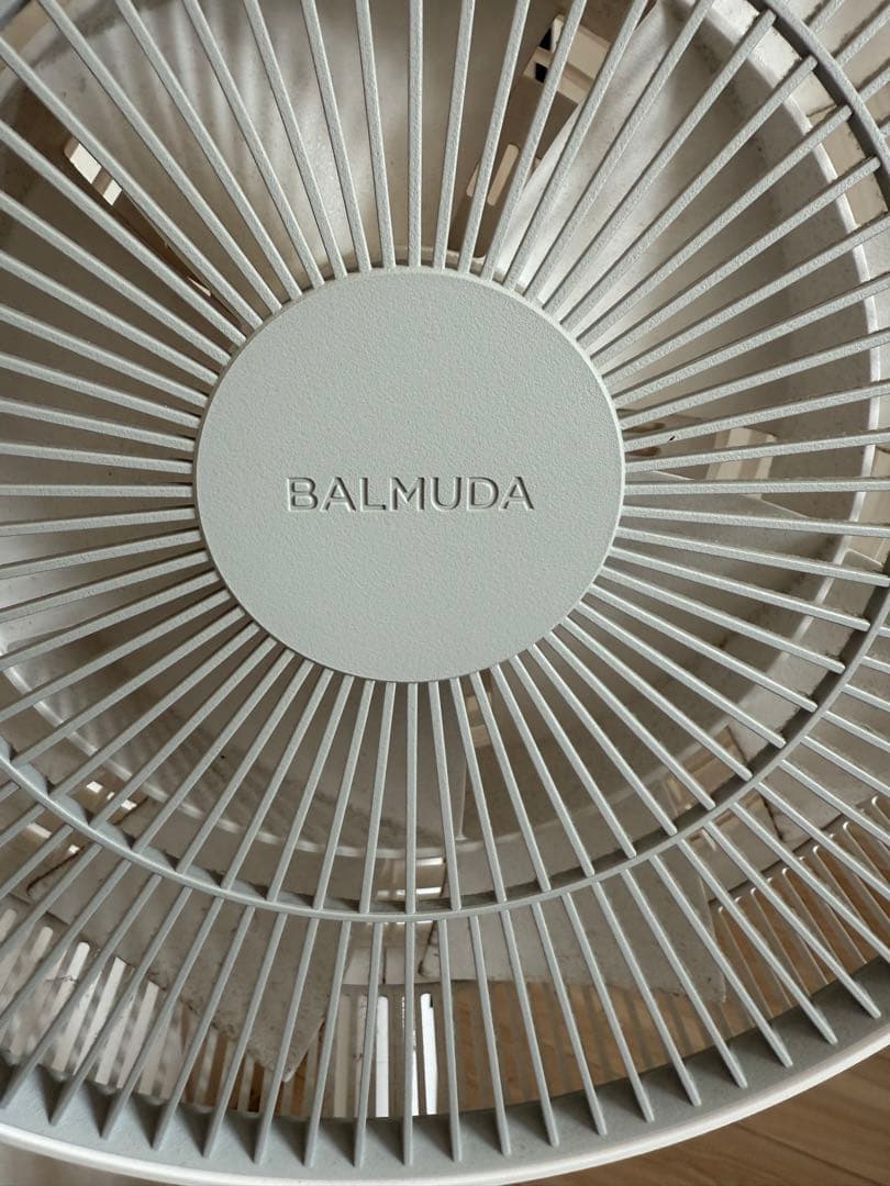 T*m様 BALMUDA & GreenFan スタンドファン ホワイト