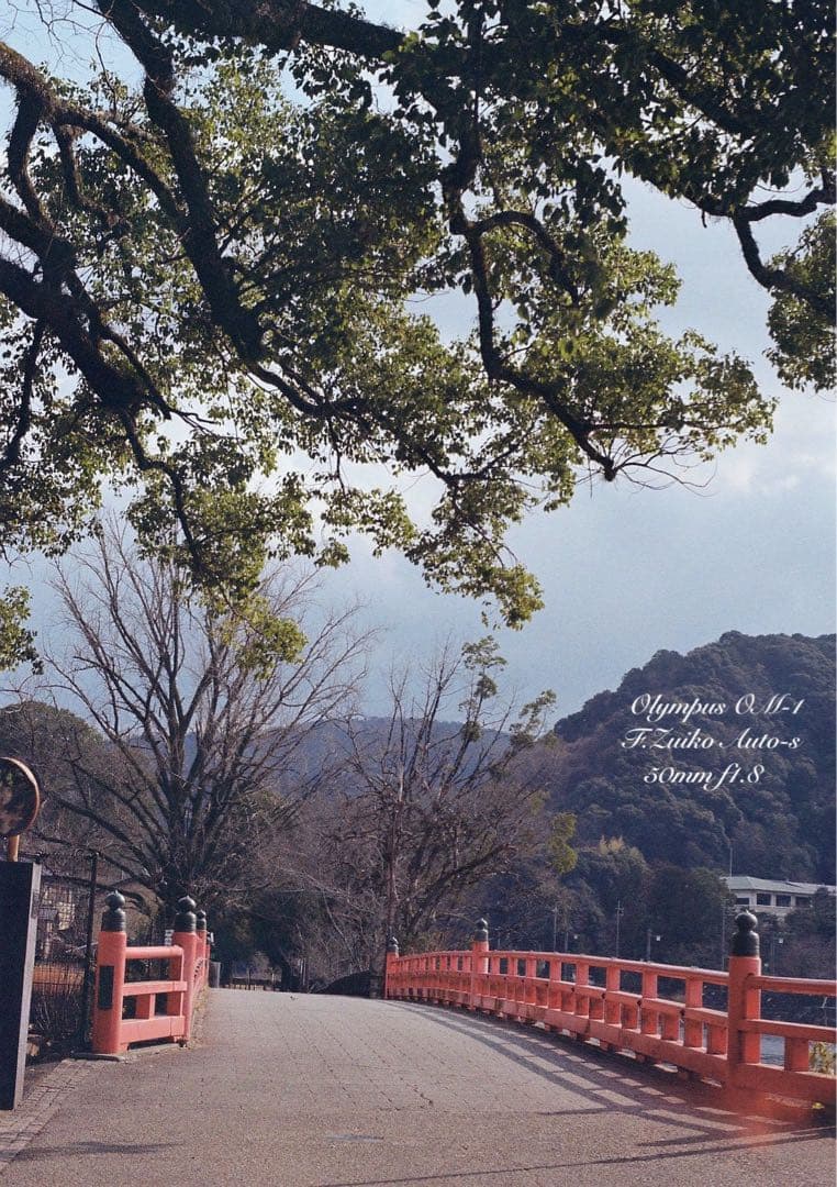 完動品＊美品＊初期保証★OLYMPUS OM-1 ブラック★レンズセット＊作例有